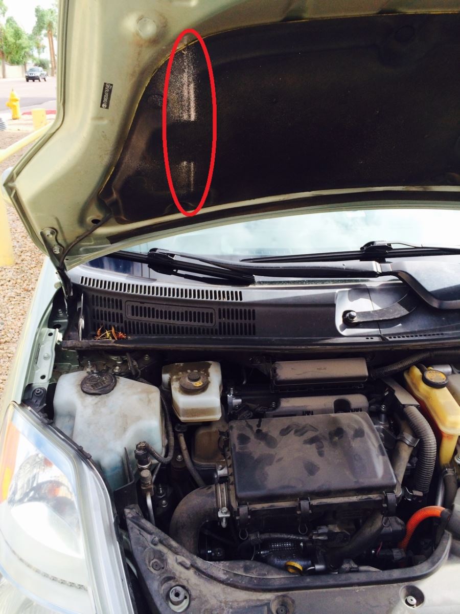Car Care Tip Water Pump leaks Wilhelm Automotive